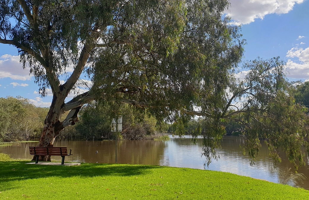 Bogan River, Nyngan